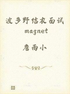 波多野结衣面试 magnet